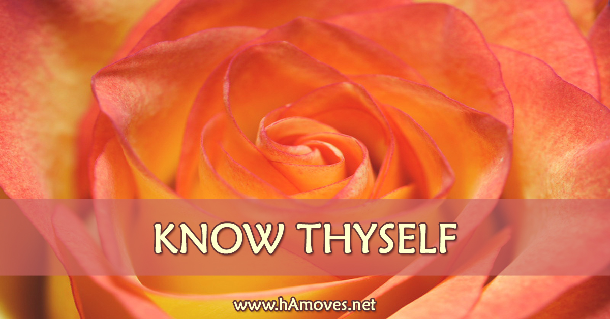 Know Thyself through Dynamic Name Mandala