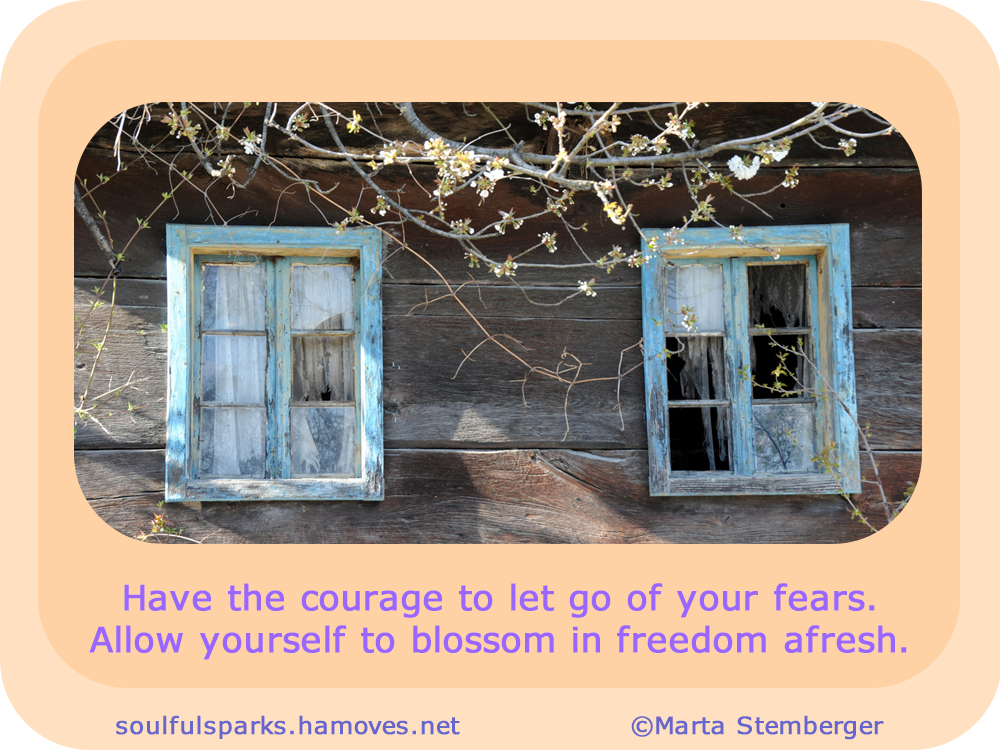 Have the courage to let go of your fears. Allow yourself to blossom in freedom afresh.