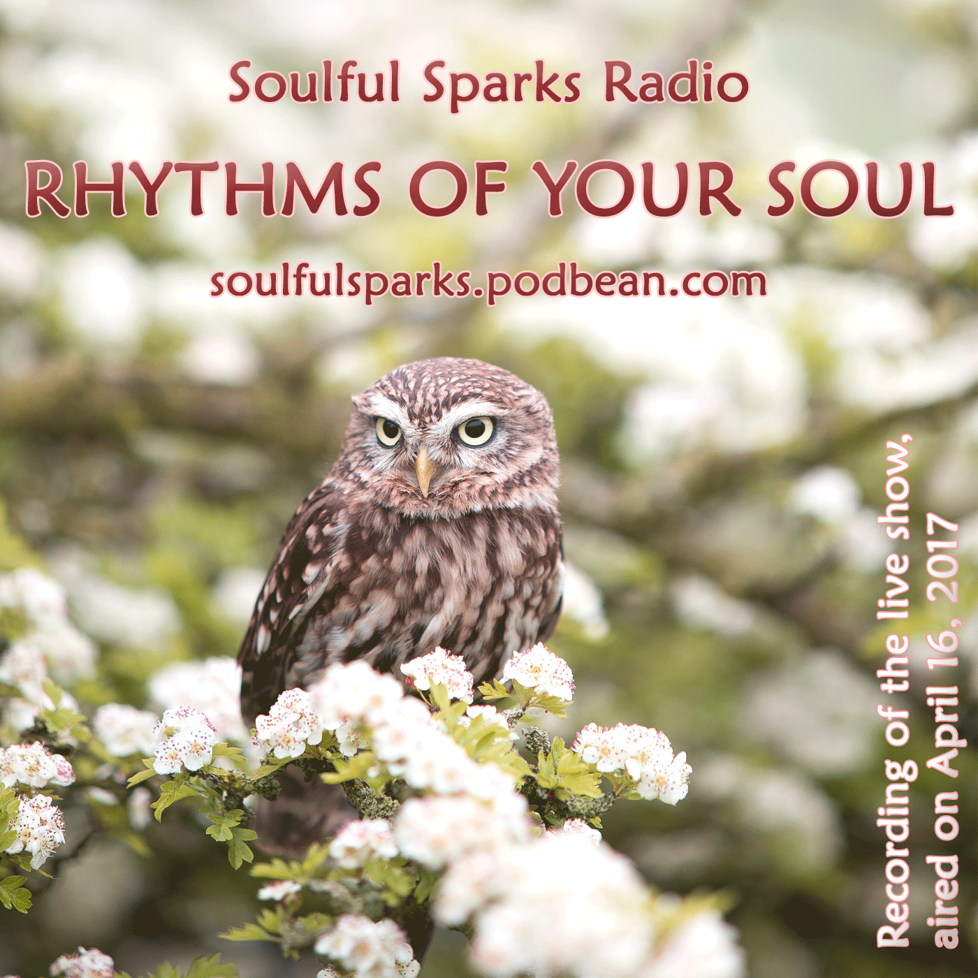 Rhythms of Your Soul on Soulful Sparks Radio Apr-16-2017