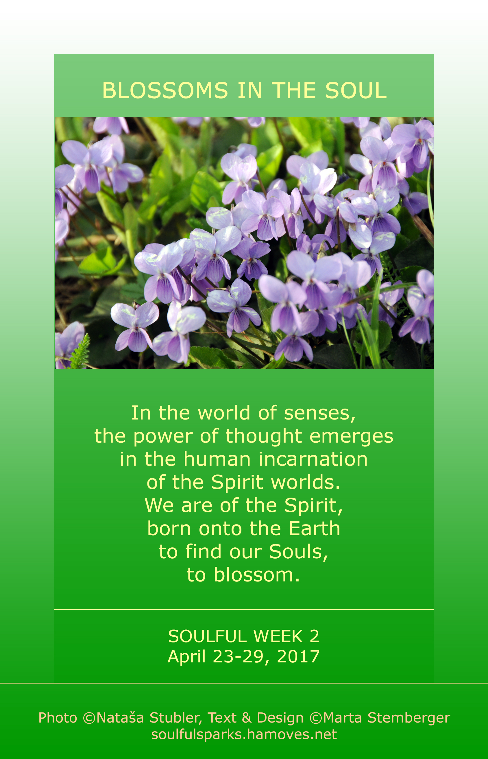 Blossoms in the Soul