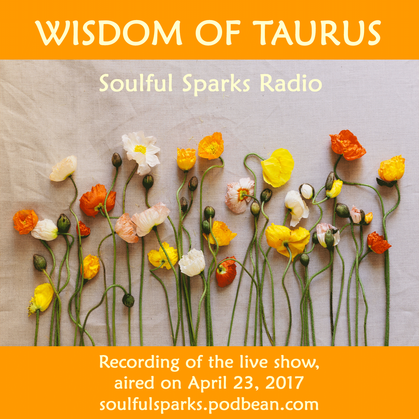 Wisdom of Taurus on Soulful Sparks Radio, Apr-23-2017