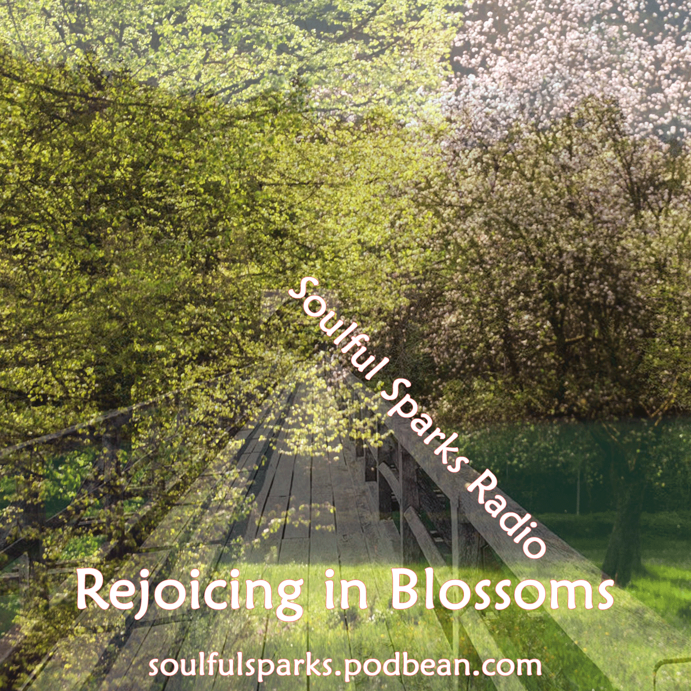 Rejoicing in Blossoms on Soulful Sparks Radio May-14-2017