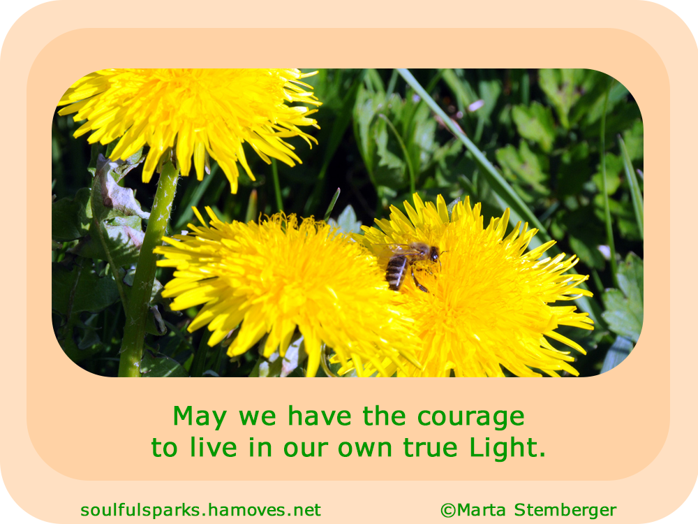 May we have the courage to live in our own true Light.