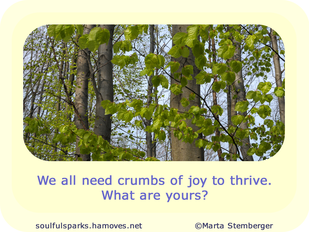 “We all need crumbs of joy to thrive. What are yours?”