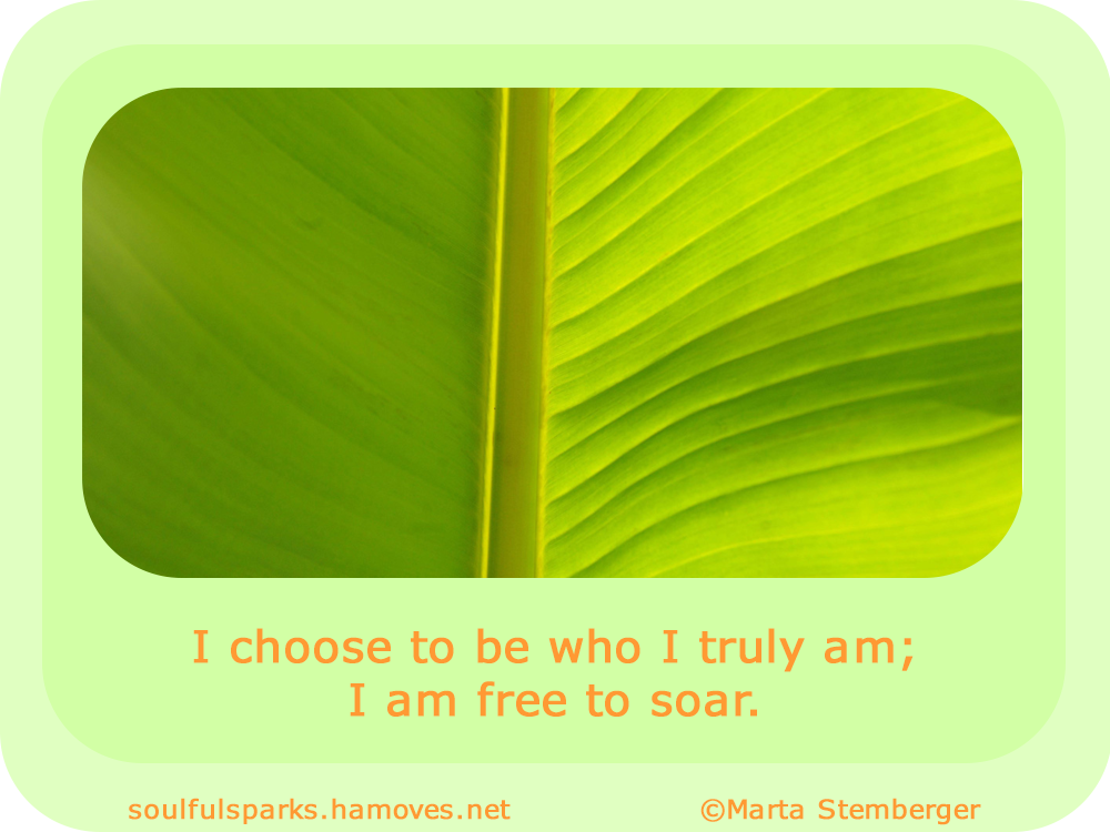 “I choose to be who I truly am; I am free to soar.”