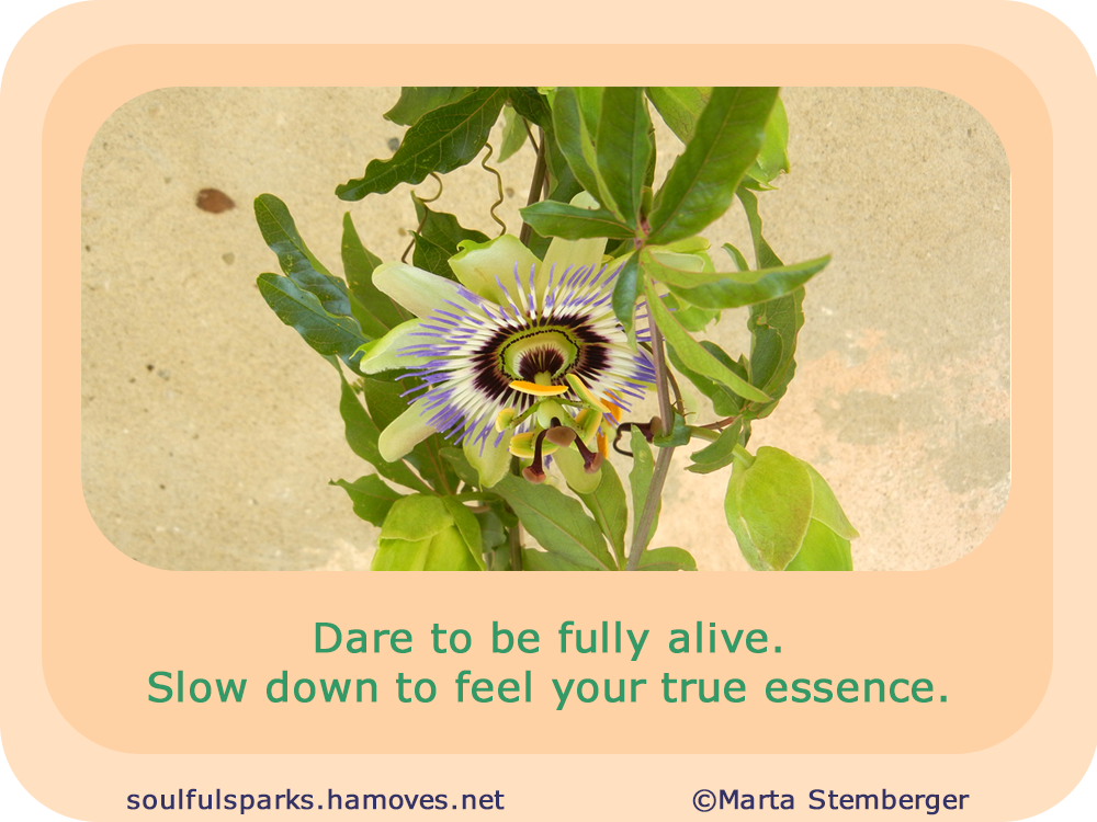 “Dare to be fully alive. Slow down to feel your true essence.”