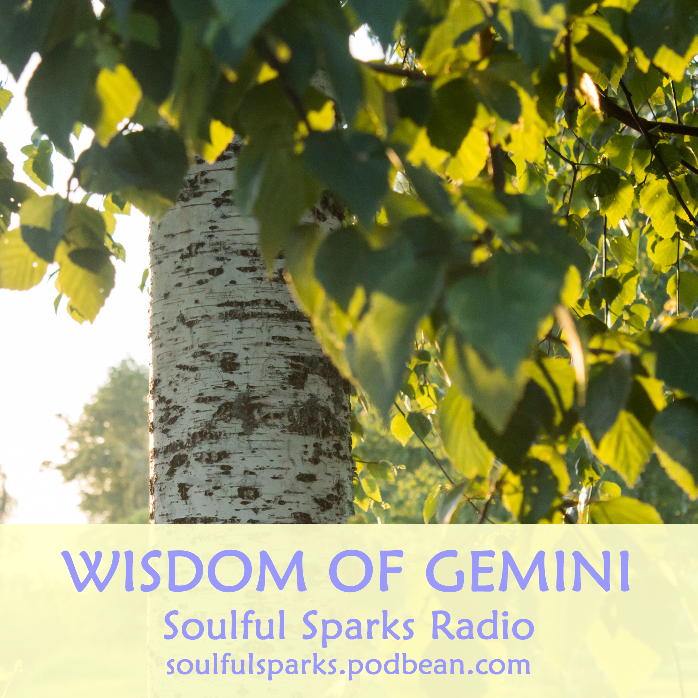 Wisdom of Gemini on Soulful Sparks Radio, Jun-04-2017