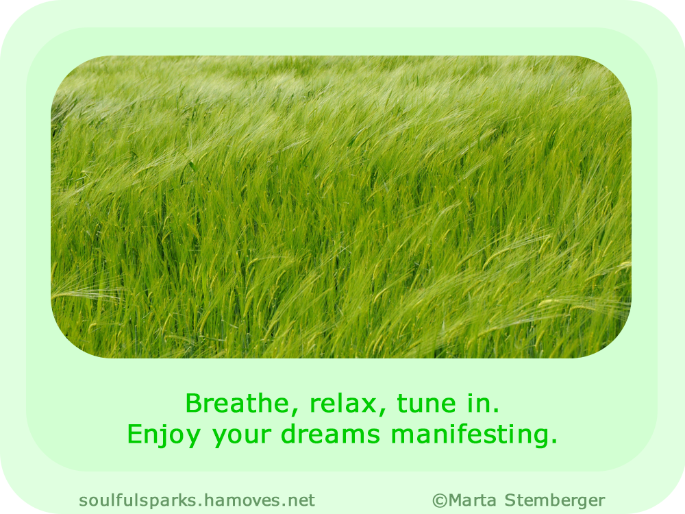 “Breathe, relax, tune in. Enjoy your dreams manifesting.”