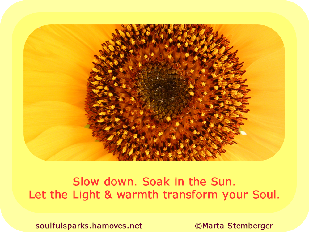 "Slow down. Soak in the Sun. Let the Light and warmth transform your Soul."