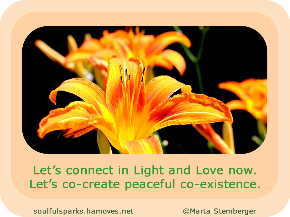 “Let’s connect in Light and Love now. Let’s co-create peaceful co-existence.”