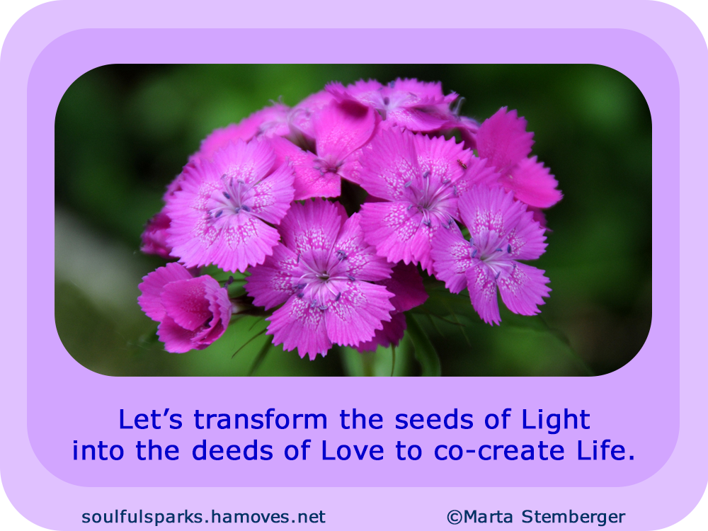 “Let’s transform the seeds of Light into the deeds of Love to co-create Life.”