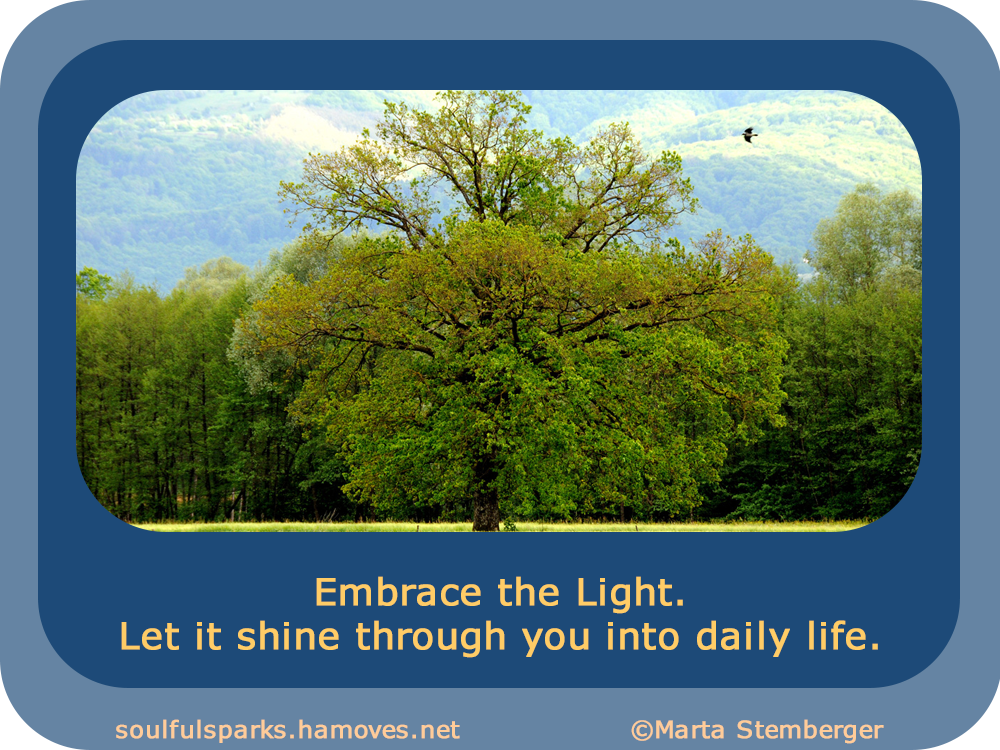 “Embrace the Light. Let it shine through you into daily life.” ~ Soulful Wizardess Marta Stemberger