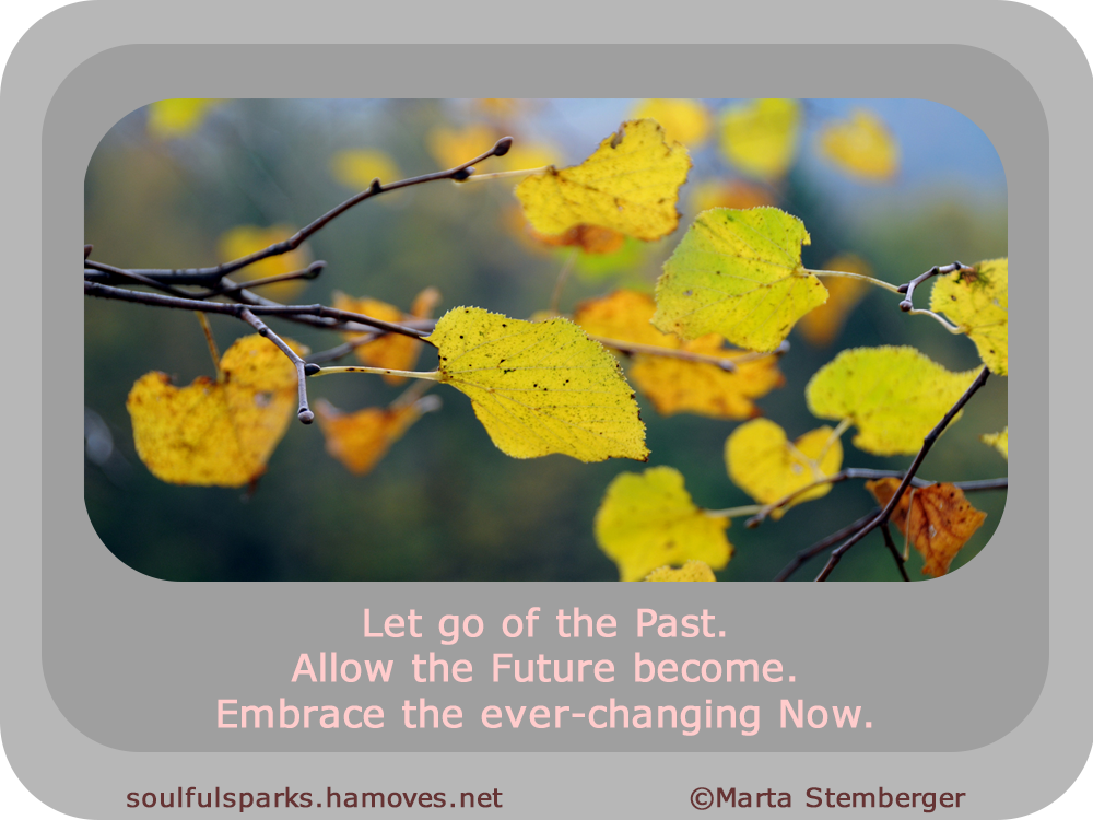 “Let go of the Past. Allow the Future become. Embrace the ever-changing Now.” ~ Soulful Wizardess