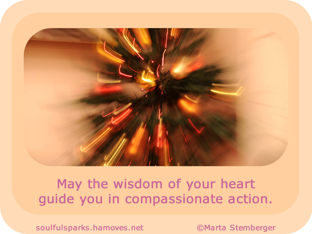 “May the wisdom of your heart guide you in compassionate action.” ~ Soulful Wizardess
