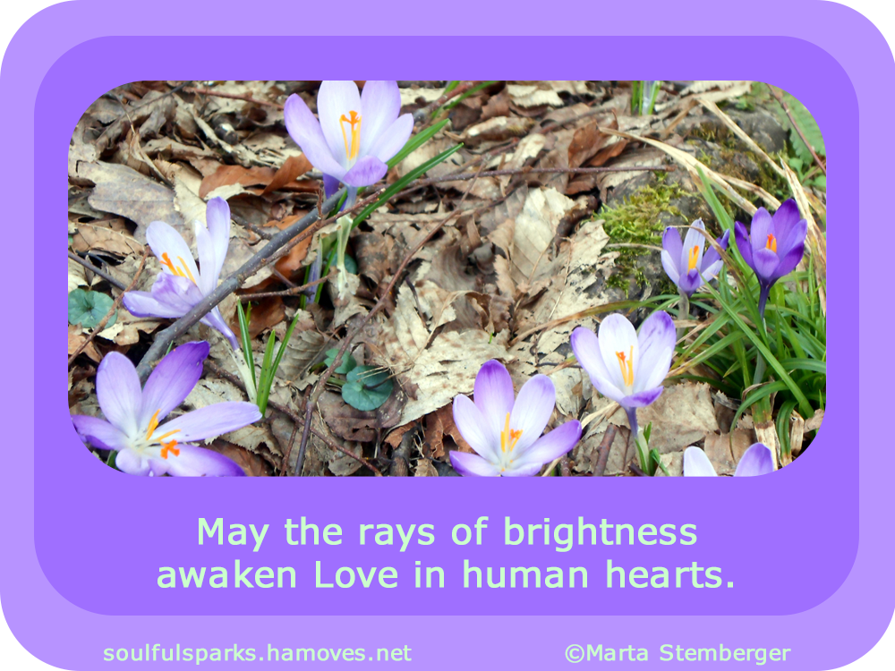 “May the rays of brightness awaken Love in human hearts.” ~ Soulful Wizardess