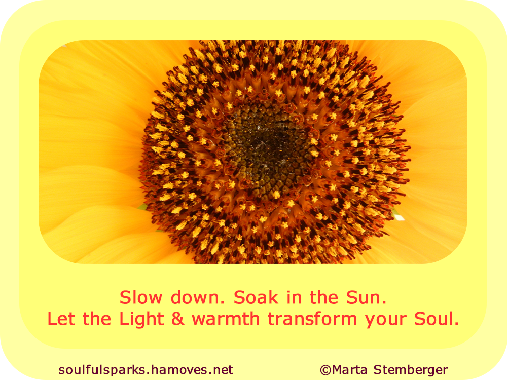 Slow down. Soak in the Sun.
Let the Light and warmth transform your Soul.